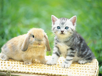 �C���[�W04